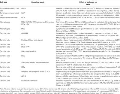 Three-Dimensional Avian Hematopoietic Stem Cell Cultures as a Model for Studying Disease Pathogenesis